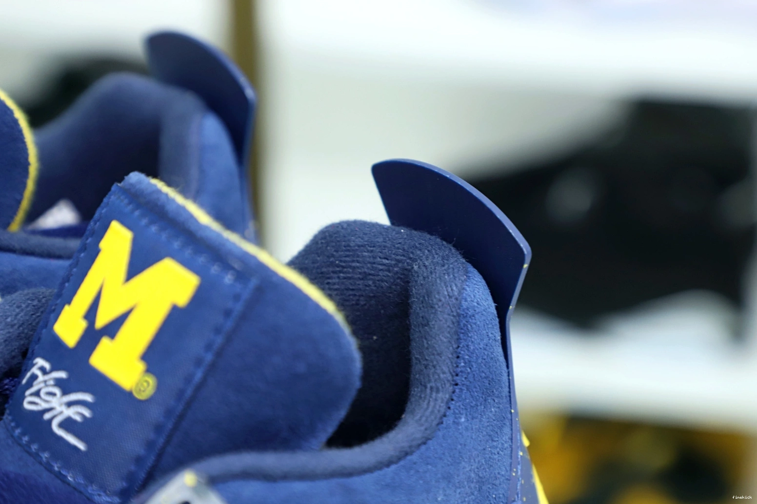 Jordan Air 4 Jordan 1010